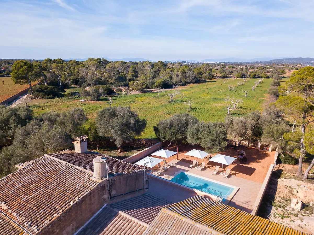 Holiday home Finca Son Grauet Llucmajor